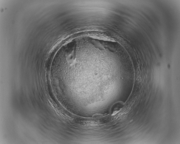 X0000057090347200509120925