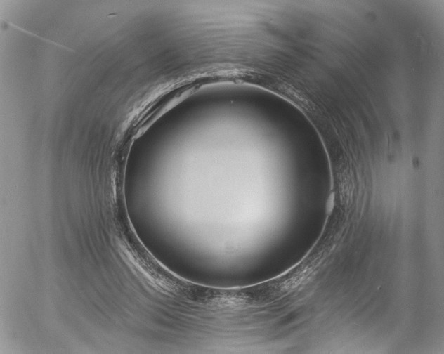 X0000057090350200509120925