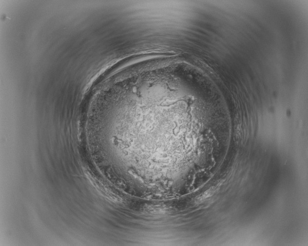 X0000057090351200509120925