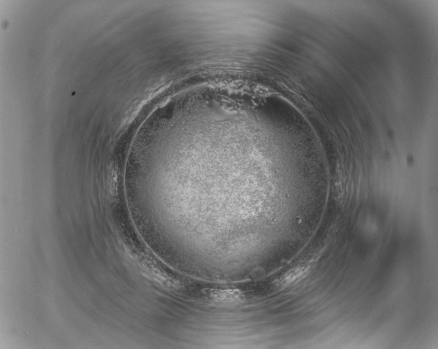 X0000057090355200509120925