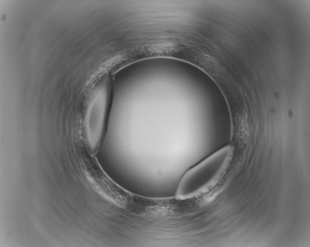 X0000057090356200509120925