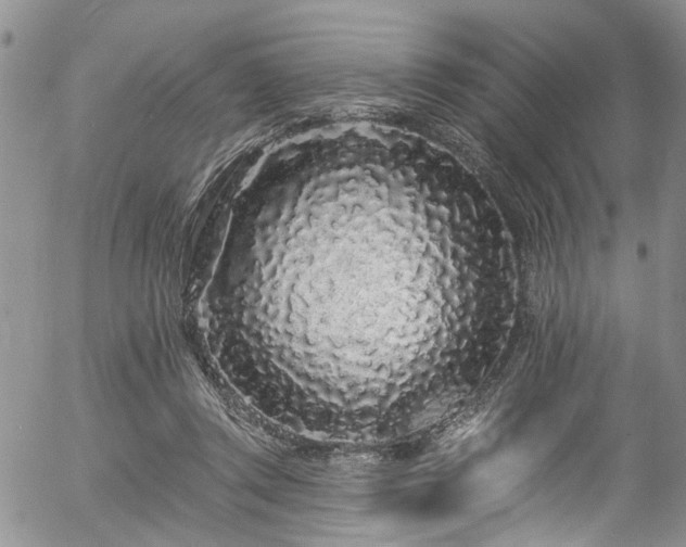 X0000057090357200509120925