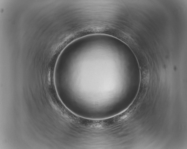 X0000057090358200509120925