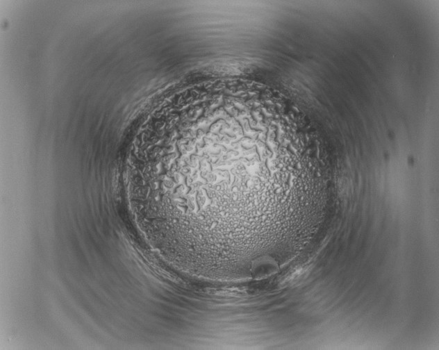 X0000057090359200509120925