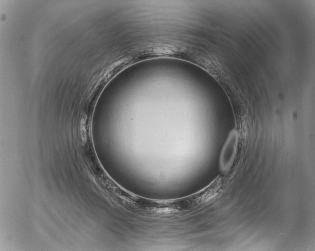 X0000057090360200509120925