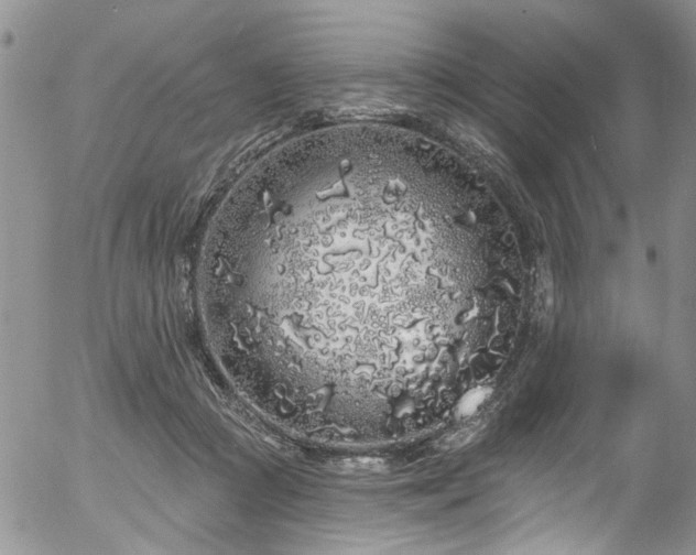 X0000057090361200509120925