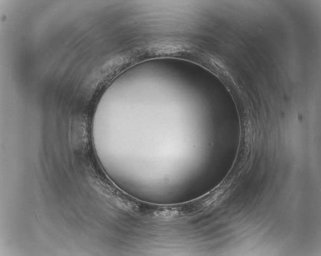 X0000057090362200509120925