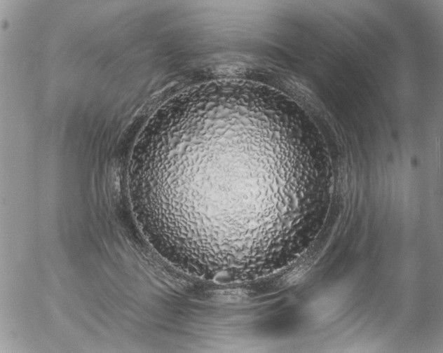 X0000057090363200509120925