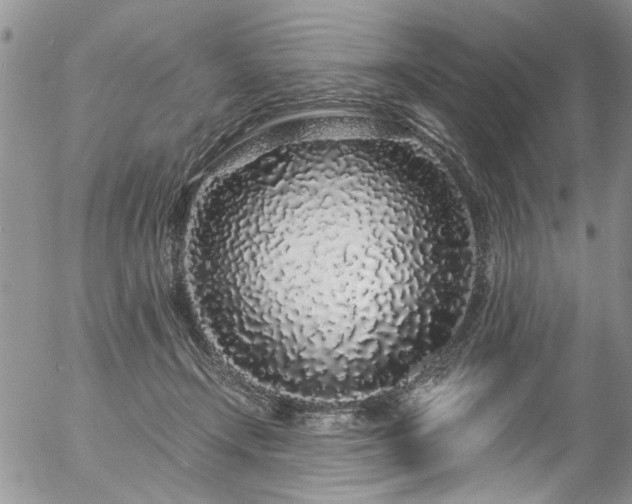 X0000057090366200509120925