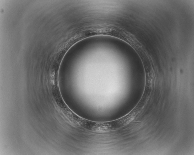 X0000057090368200509120925