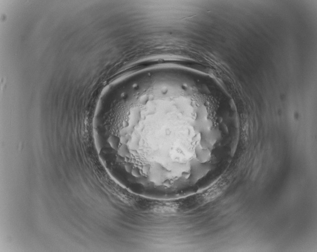 X0000057090369200509120925