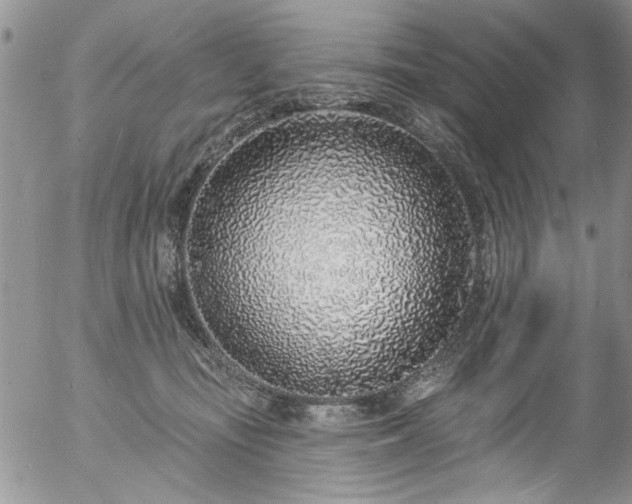 X0000057090371200509120925