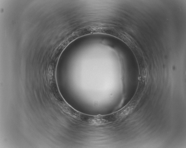 X0000057090372200509120925