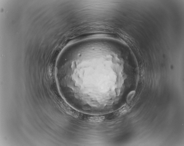 X0000057090373200509120925