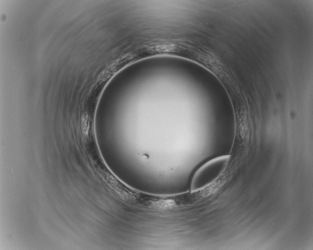 X0000057090374200509120925