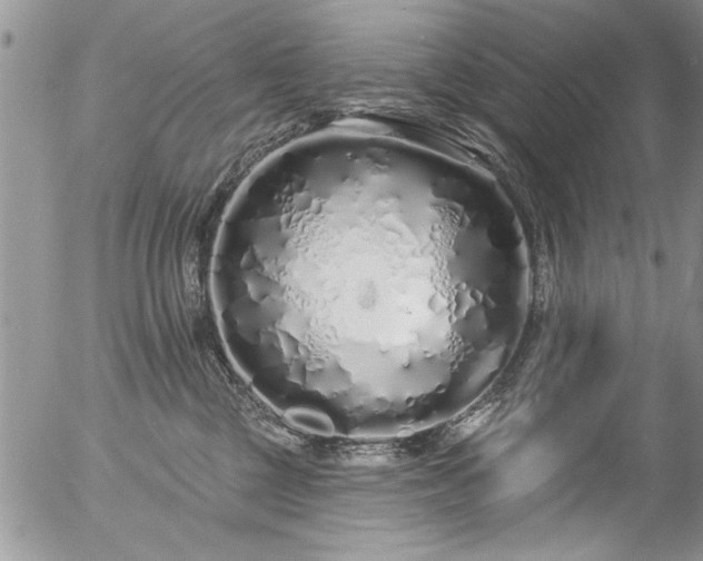 X0000057090377200509120925