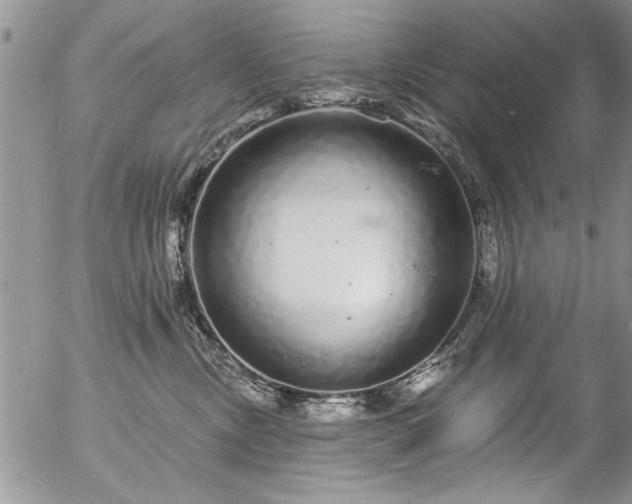 X0000057090378200509120925