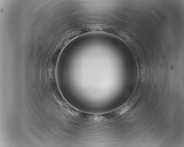 X0000057090379200509120925