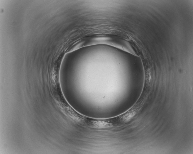 X0000057090380200509120925