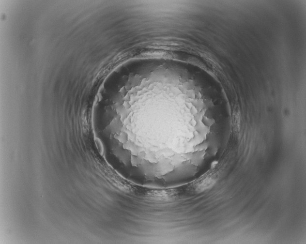 X0000057090381200509120925