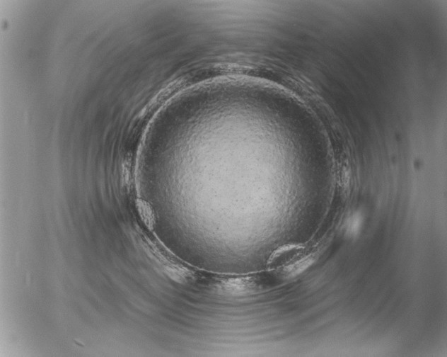 X0000057090382200509120925