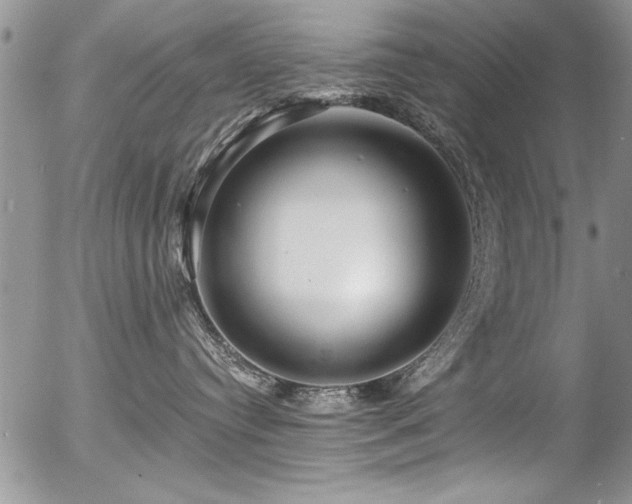 X0000057090384200509120925