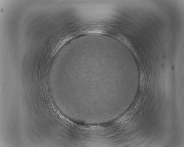 X0000057090385200509120924