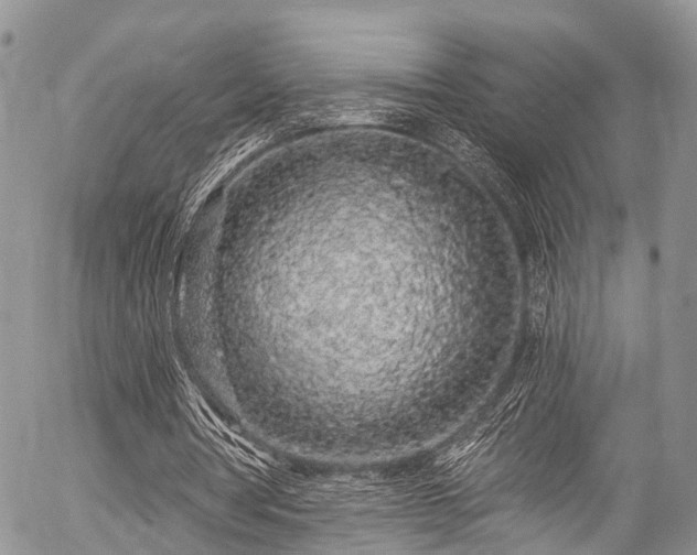 X0000057090386200509120924