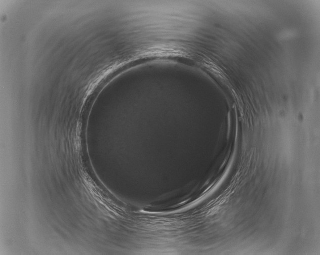 X0000057090387200509120924