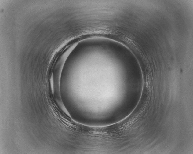 X0000057090388200509120924