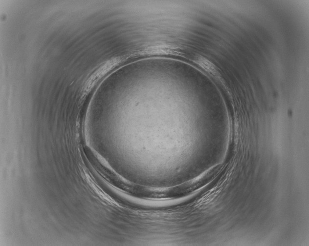 X0000057090389200509120924