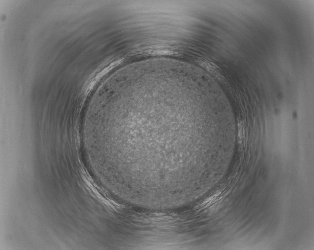 X0000057090390200509120924