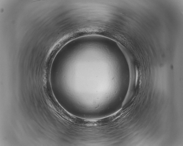 X0000057090392200509120924