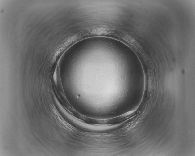 X0000057090393200509120924