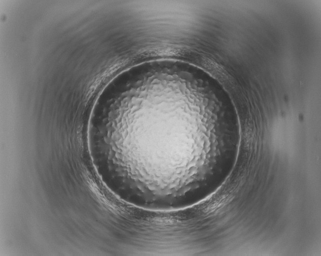 X0000057090394200509120924