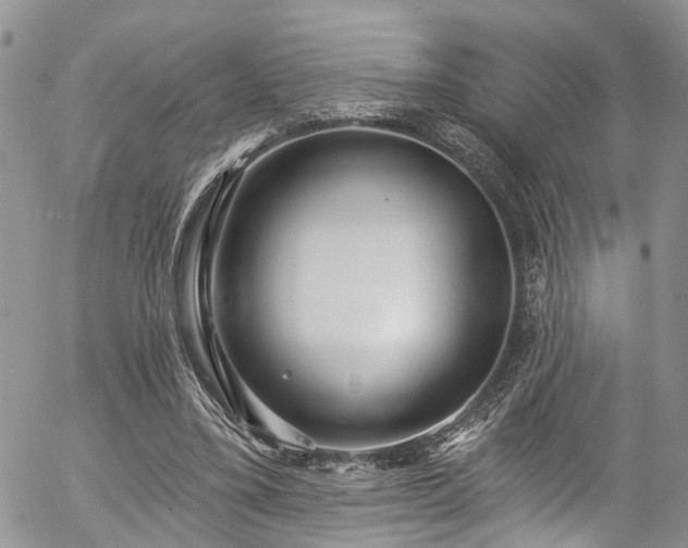 X0000057090395200509120924