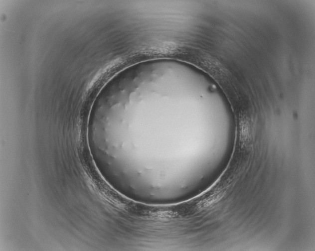 X0000057090396200509120924