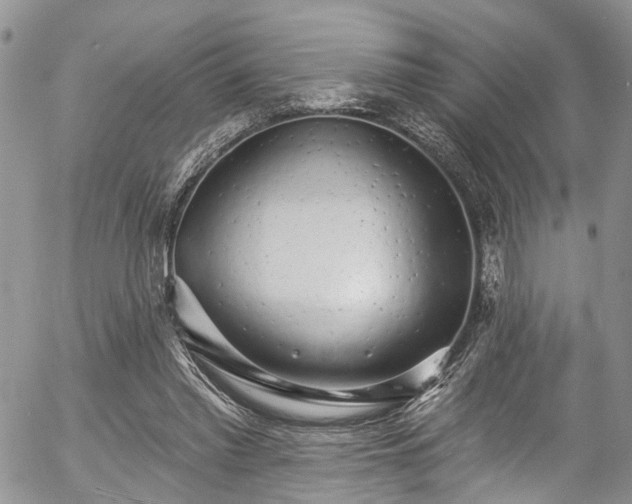 X0000057090397200509120924