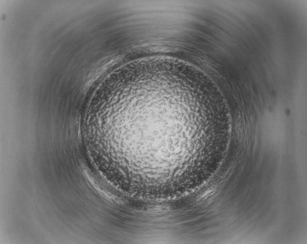 X0000057090398200509120924