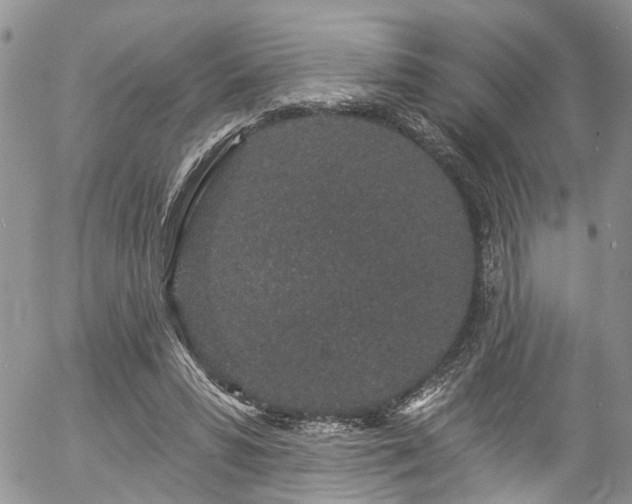 X0000057090399200509120924