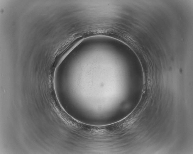 X0000057090401200509120924