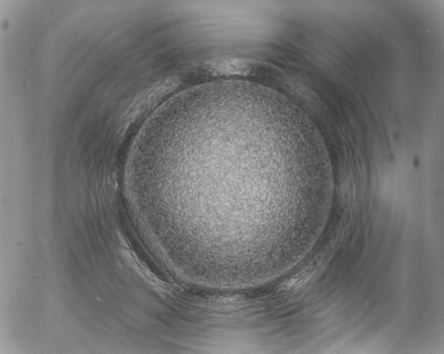 X0000057090402200509120924