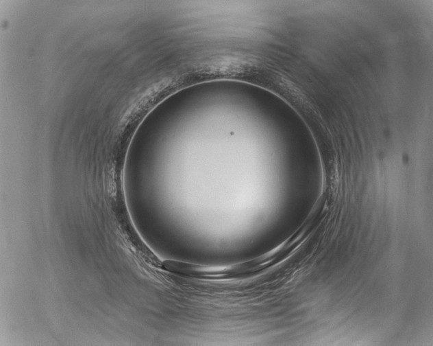 X0000057090403200509120924