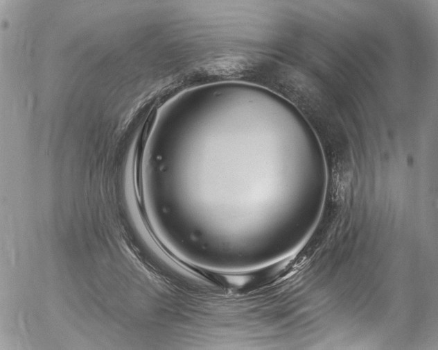 X0000057090404200509120924