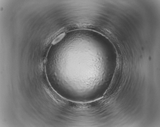 X0000057090405200509120924