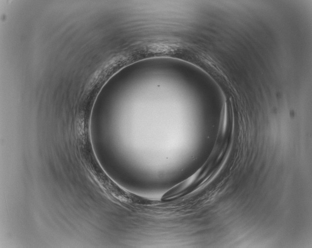 X0000057090407200509120924