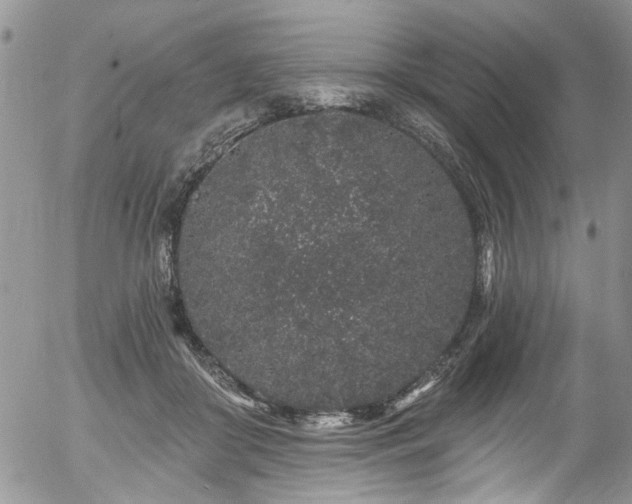 X0000057090410200509120924