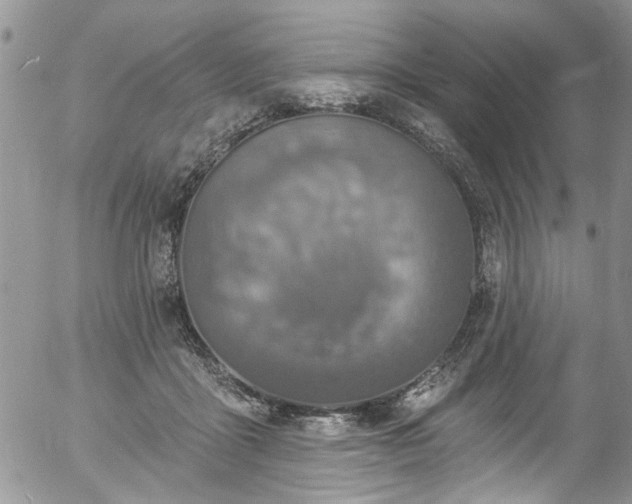 X0000057090411200509120924