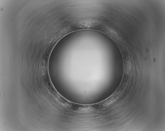 X0000057090414200509120924