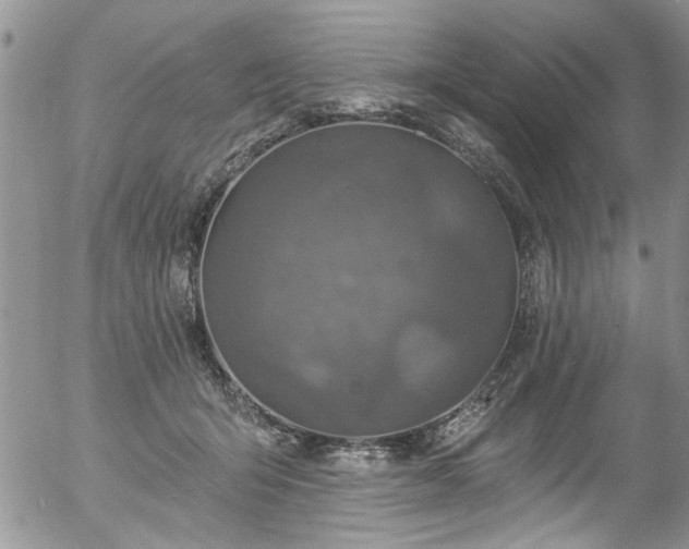 X0000057090415200509120924